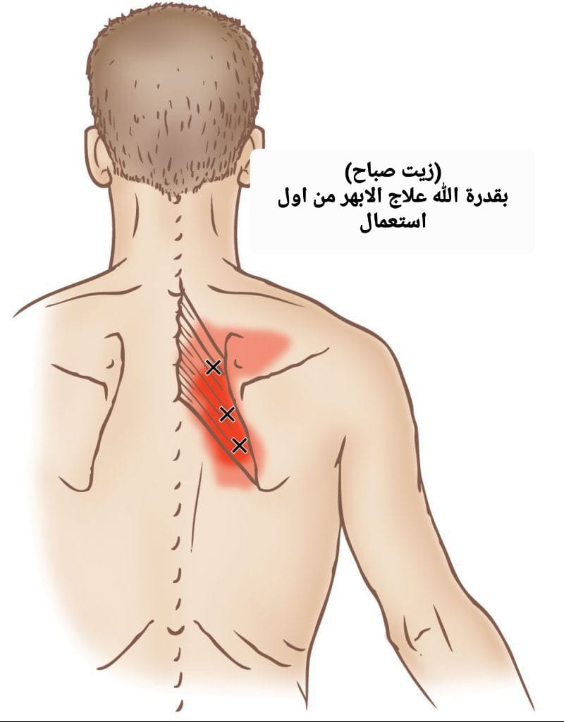 ١٢-1 زيت صباح زيت زنجبيل بتركيبة طبيعية ١٠٠% خالي من المواد الحافظة بتصريح مركز الامارات العالمي للاعتماد