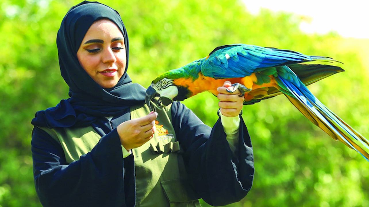 WhatsApp-Image‏-2024-11-10-at-14.22.17 حديقة الحيوانات في العين على قائمة أبرز الوجهات السياحية بأبوظبي