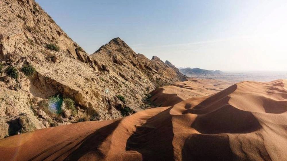 7087191.jpeg "الفاية" على لائحة التراث العالمي.. تتويج لجهود الإمارات في صون التاريخ الإنساني