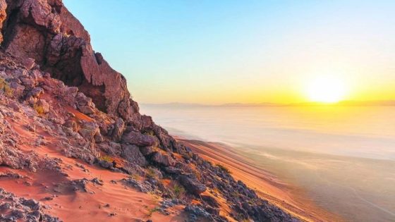 “الفاية” على لائحة التراث العالمي.. تتويج لجهود الإمارات في صون التاريخ الإنساني