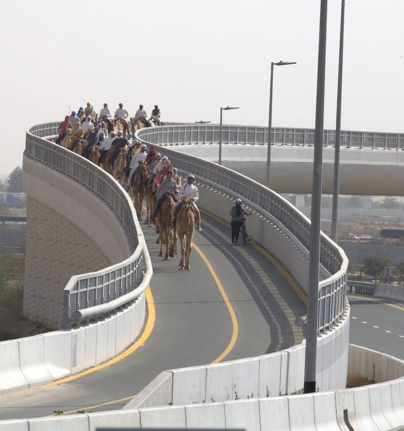 WhatsApp-Image‏-2025-12-25-at-23.37.06-1-e1766693303728 في استعادة لخطى الأولين رحلة الهجن الثانية عشرة تحطّ رحالها في محطتها الختامية بدبي