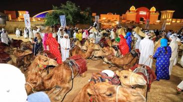 WhatsApp-Image‏-2025-12-25-at-23.37.07-7ndkniw8dfypcw0b22ujst8jalxvgwaezfhzw0xn9s3 في استعادة لخطى الأولين رحلة الهجن الثانية عشرة تحطّ رحالها في محطتها الختامية بدبي